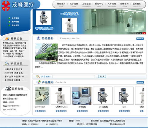 武汉网站制作项目 武汉茂锋医疗净化工程网站开通